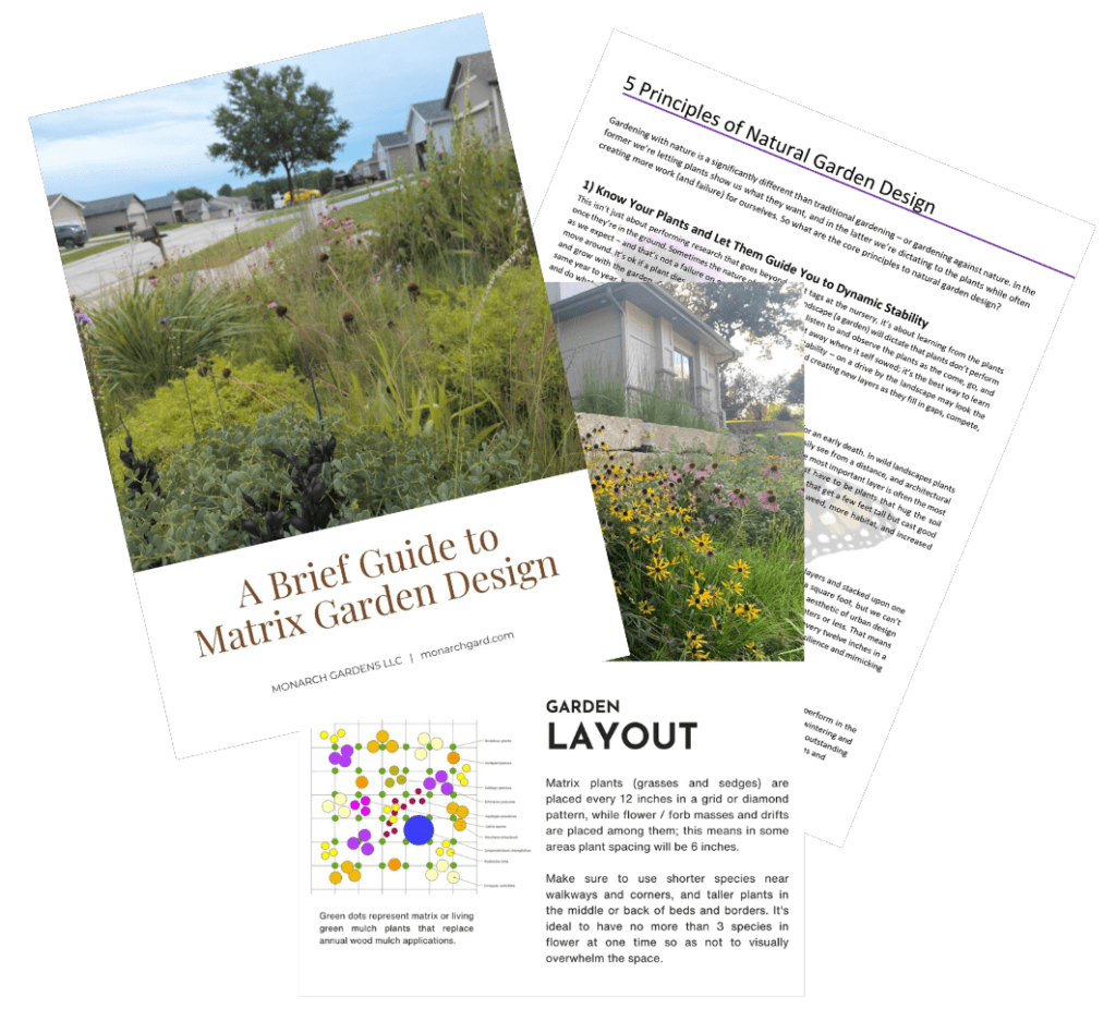 Three images showing pages from the online pocket garden guides and booklets to help you garden sustainably with native plants for wildlife via thoughtful natural landscaping.