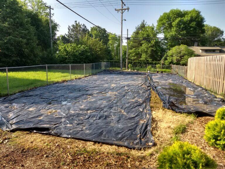 Plastic sheets like these being used to solarize a lawn can be problematic from killing soil life to micro plastic pollution.