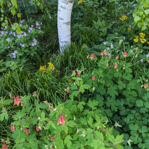 PXL_20240508_142127041