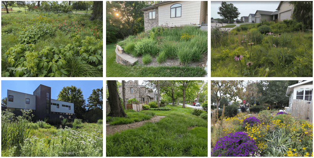 A collage of Nebraska front yard lawn to meadow garden conversions featuring drought tolerant native plants for full sun or full shade landscapes.