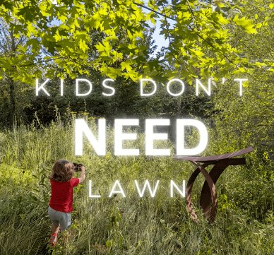 Kids don't need lawn to play in; in fact, they are healthier when they have a more complex landscape to explore and learn in.
