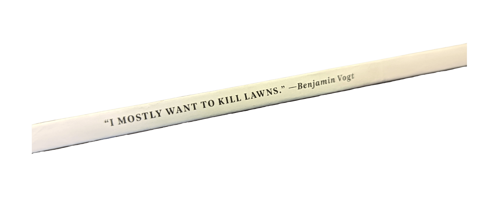 I mostly want to kill lawn, benjamin vogt, on the spine of an issue of Dwell Magazine.