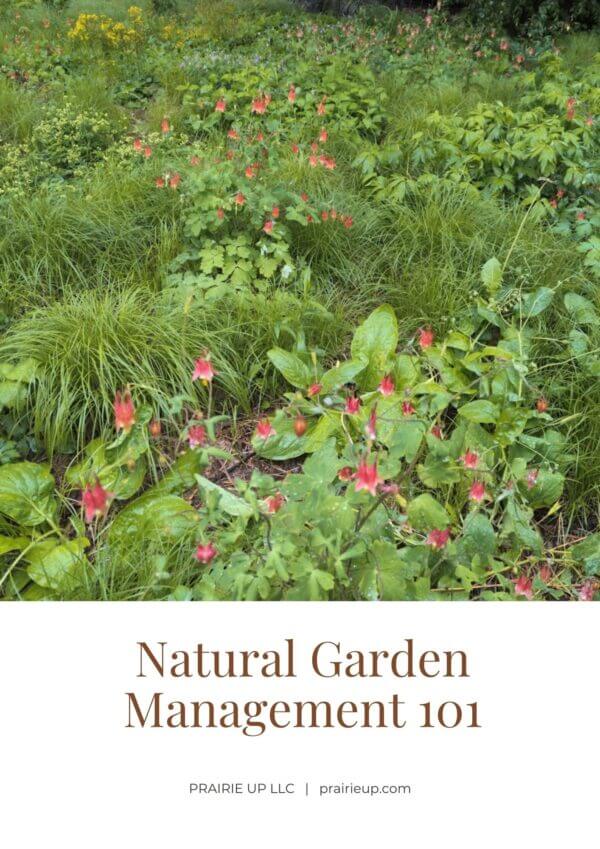 Cover photo for the booklet titled Natural Garden Management 101