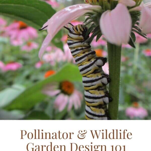 Cover photo for the booklet titled Pollinator and Wildlife Garden Design 101