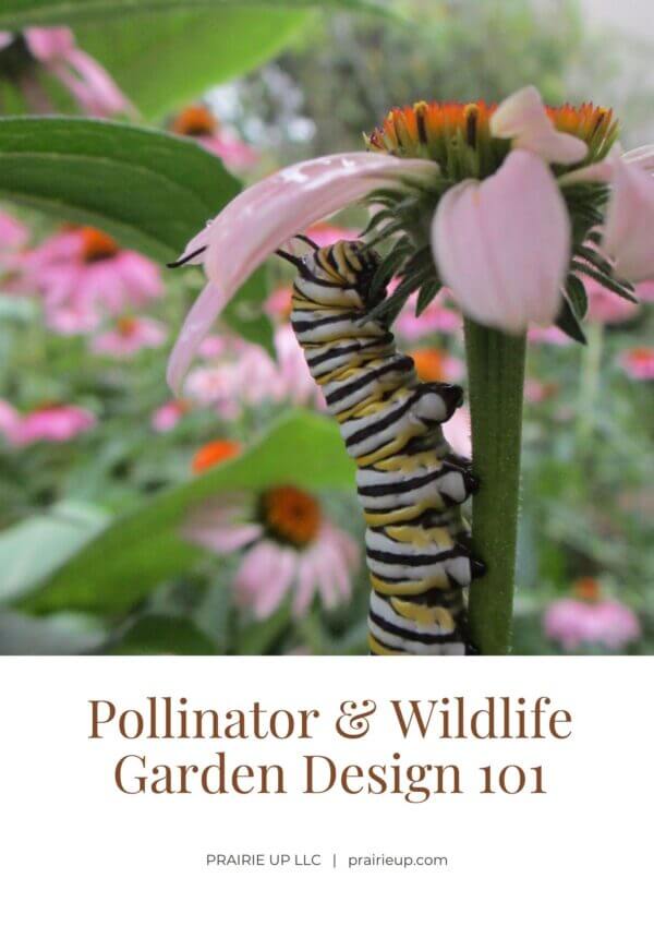 Cover photo for the booklet titled Pollinator and Wildlife Garden Design 101