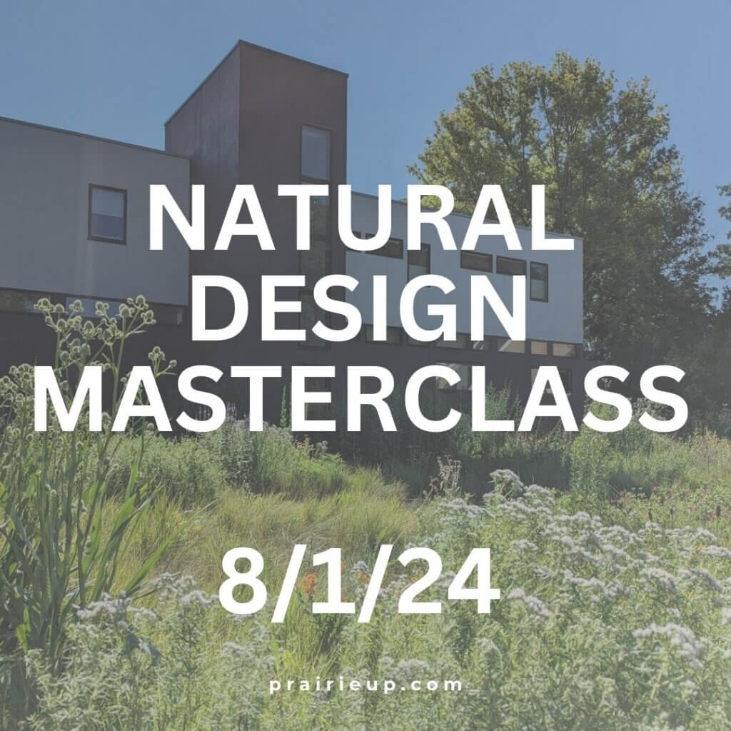 webinar for natural design masterclass hosted by benjamin vogt