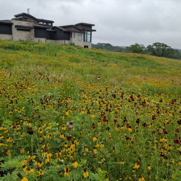 PXL_20250624_153946819