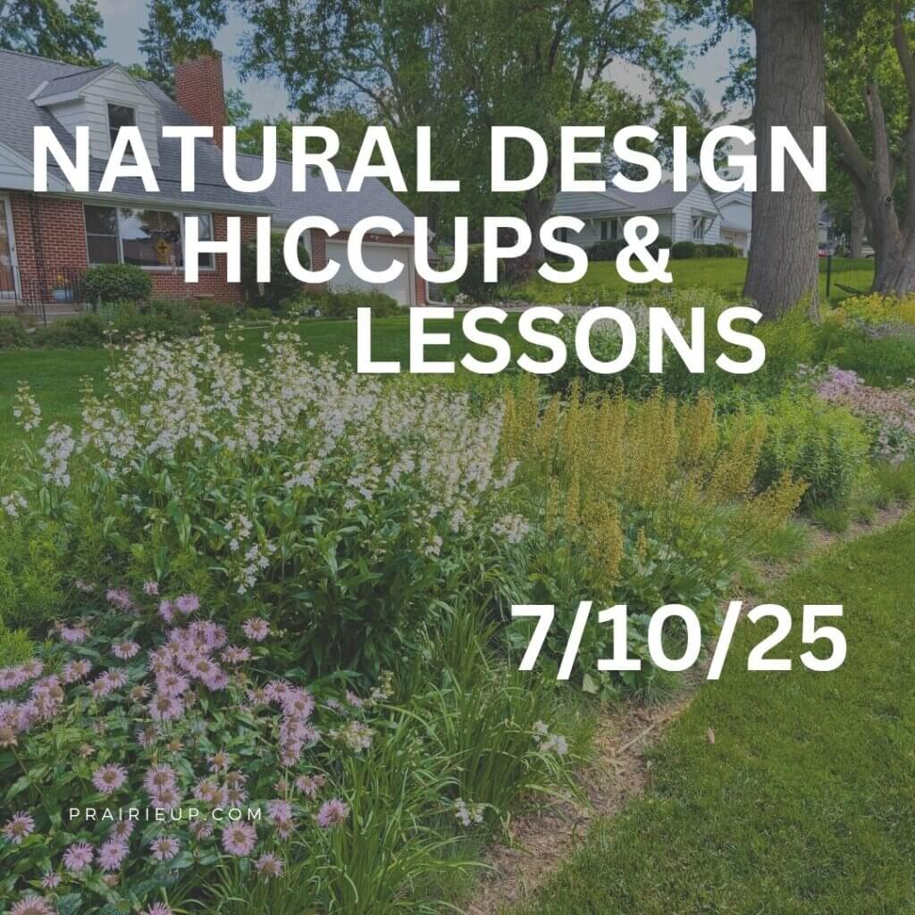 Natural design hiccups and lessons webinar registration