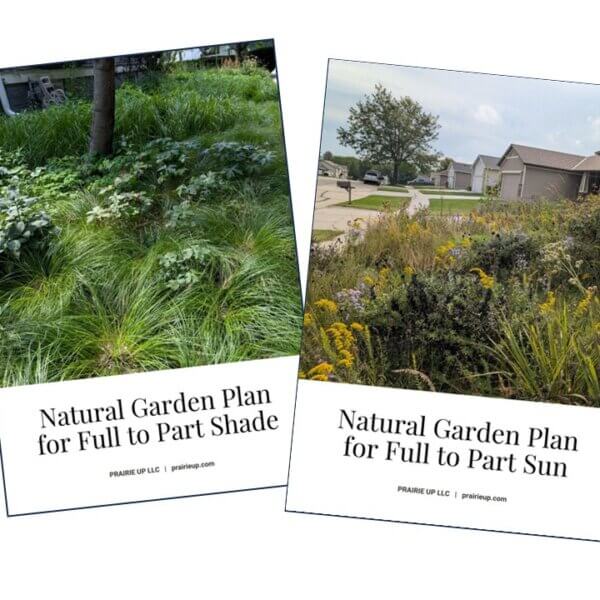 Both Garden Plans -- Sun and Shade Natural Landscaping Guides