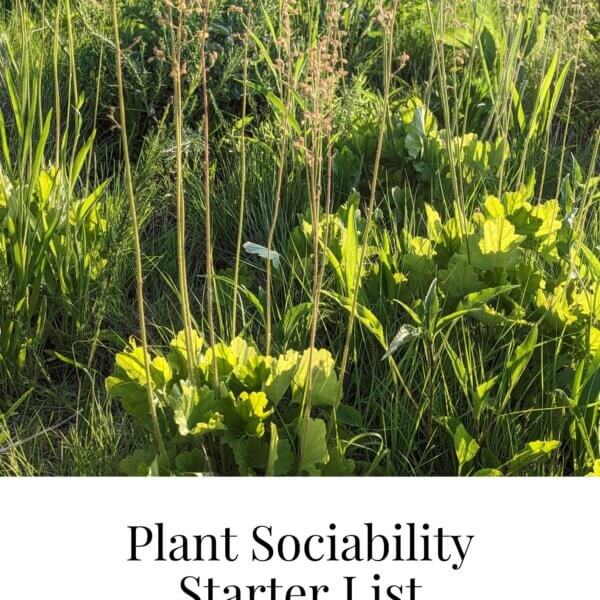 Plant Sociability Starter List
