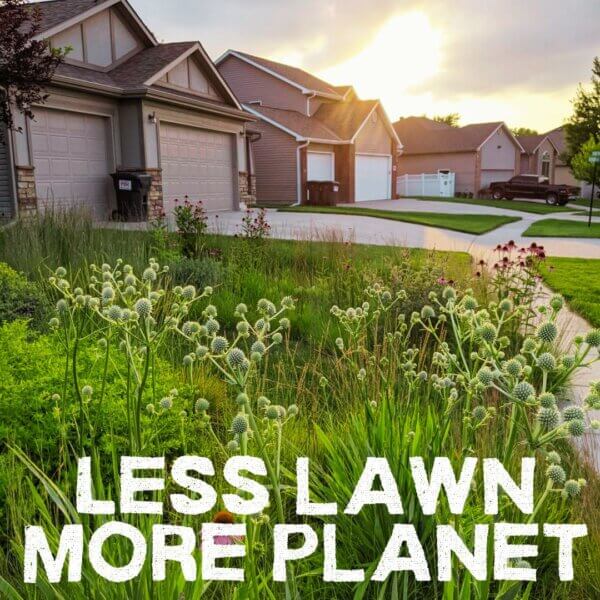 All 17 Pocket Guides + All 10 Booklets + 2 Natural Garden Plans