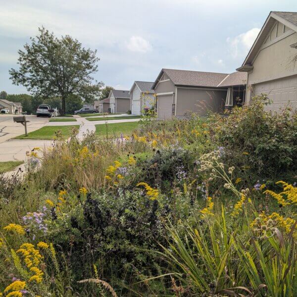 PXL_20250918_152407636(1)