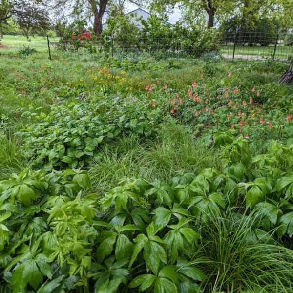 PXL_20230515_145842830