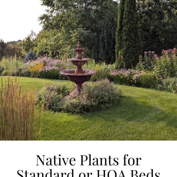 Native Plants for Standard + HOA Beds