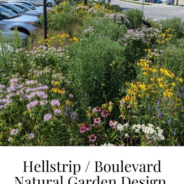 Hellstrip Garden Design
