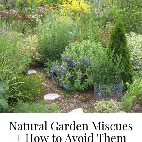 natural garden miscues