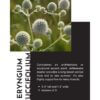 Short Plants to Unlawn - Image 3