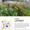 Short Plants to Unlawn - Image 2